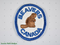 Beavers [CA 13a]